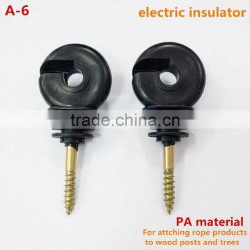 electric insulator