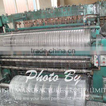 Green Coated Welded Wire Mesh photo-6