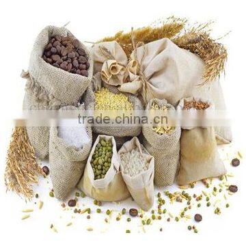 Cocoa Bean Cleaning Machine photo-6