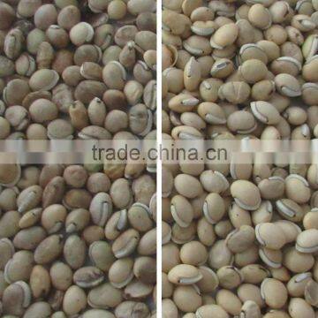 Pulses Color Sorter With High-resolution CCD Camera photo-4