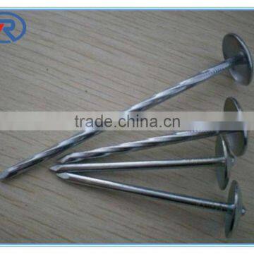Umbrella Head Roofing Nail/ Galvanized Roofing Nail for Building Decoration Renovation photo-4