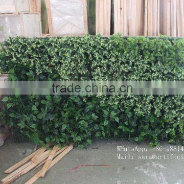 Home Wall Decoration ,green Foliage Wall, Grass Mat for Wall photo-6