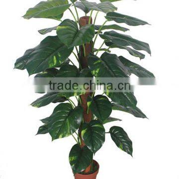 CHY030934 Artificial Plastic Plant Indoor Epipremnum Aureum Bonsai Plant Trees photo-2