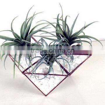 Trendy Modern Geometric Hexagon Stained Glass Terrarium