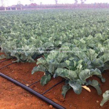 Drip Irrigation