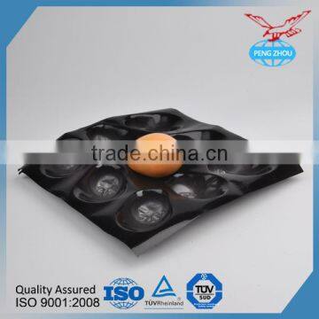 Disposable Food Tray With Lid China Supplier PP Fruit Tray photo-2