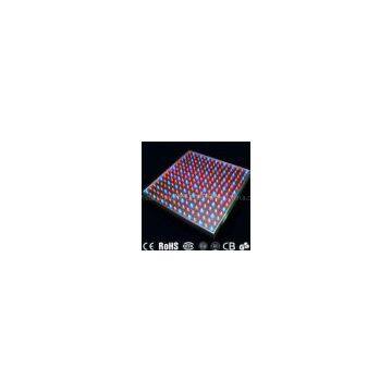 Red Blue White Orange Yellow hi power led growing lights for indoor plants 14W