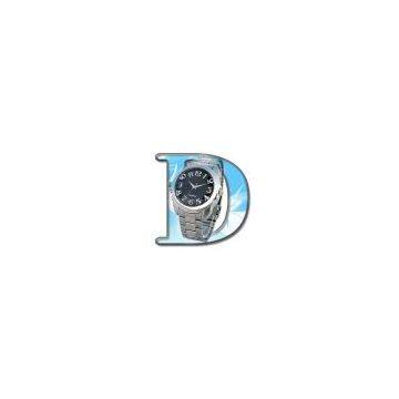 DS-H206B camera watch,DVR watch,video watch