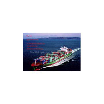 DDP FCL LCL Sea Freight Door to Door China to Russia Belaruis