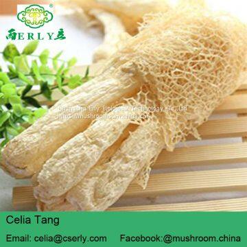 Wild Growing Mushroom Bamboo Fungus Tasty Dictyophora photo-3