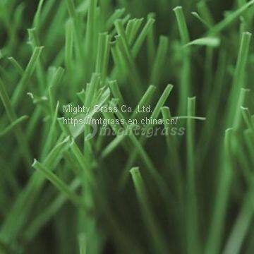 Commercial Artificial Grass, MT-Venus