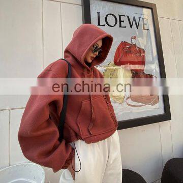 2020 Autumn Winter New Design Warm 2 Two Piece Women Oversize Cropped Top Hoodie and Jogger Pants Sets photo-3