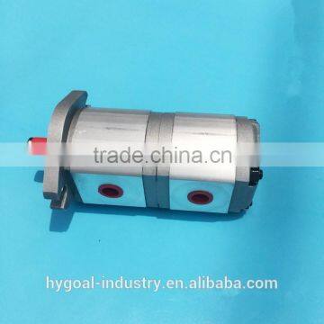 Double Gear Pump