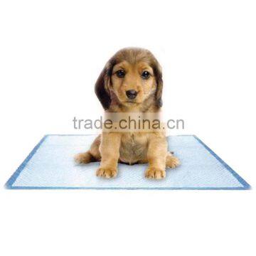 dog training camp pee in pad 100 puppy pads