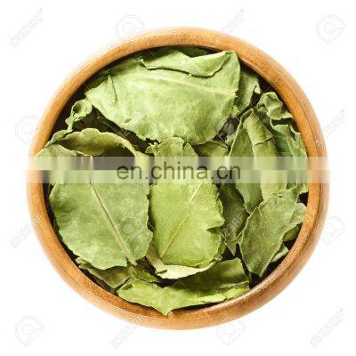 Organic Dried Lemon Leaves/Hot Sale Dried Lime Leaf/Cheap Price Lemon Leaf With Good Price From Vietnam photo-3