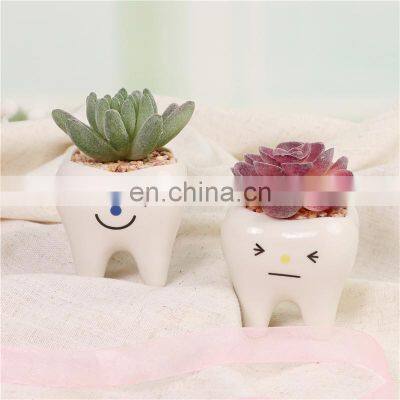 Fashion Garden Decor Succulent Planter Home And 2021 Guangdong Flower Pots Planters Potted Faux Plants Cute Tooth Shape Pot