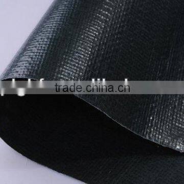 Best Quality!!! Pe Tarpaulin Sheet
