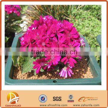 Professional supplier for aquarium crystal soil