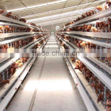 Used Poultry Battery Layer Cage for Chicken Farm