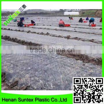 Lowest Price Mulch Film With Holes Planting Egg Plant in Greenhouse to Prevent Grass photo-3