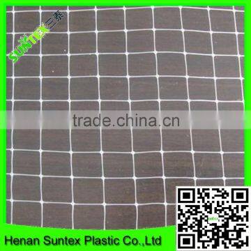 Climbing Plant Support Net From Who Owns the Factory of Production in China