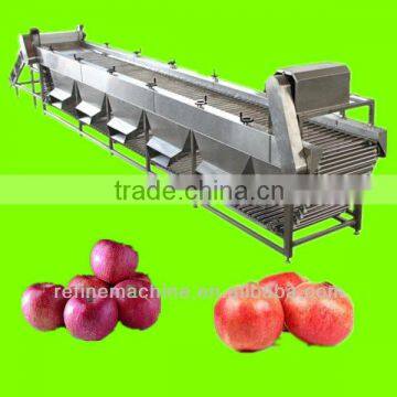 apple sorting machine/equipment/plant