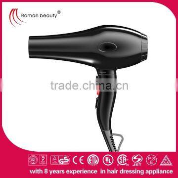 Salon professional hair dryer