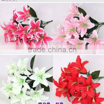 New Most Popular Names of Lily Used for Decoration