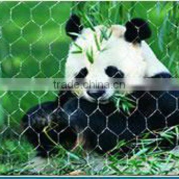 Hexagonal wire mesh for chicken /bridge protection