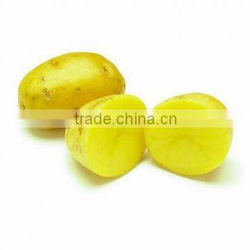 China Best Selling Industrial Potato Chips Cutter/Slicer Quality Choice photo-3