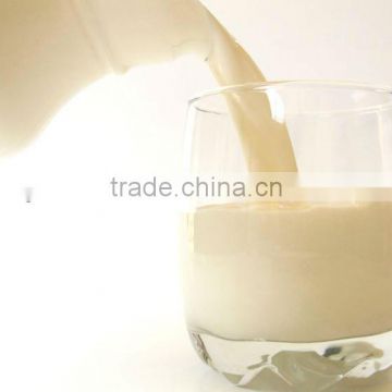 Milk flavor-food grade