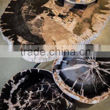 Petrified wood side tables