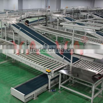 Crate & Carton Conveyors System