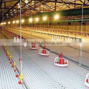 design cheap morden automatic chicken poultry equipment for poultry farm