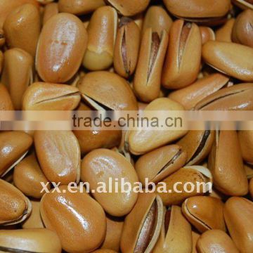 pine nut processing