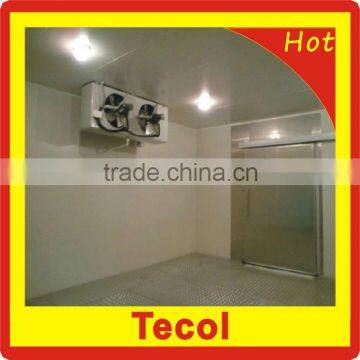 vegetable cold storage room