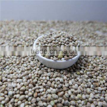 High Quality bird feeding hemp seeds for sale,price of hemp seeds bulk sales