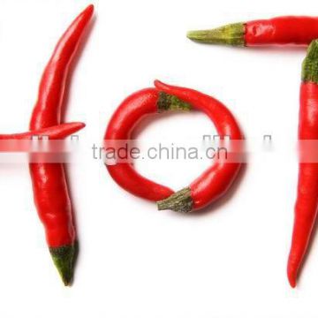 2012 hot red chilli in different package