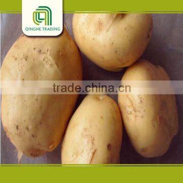 Good Brand Buy Potatoes Online