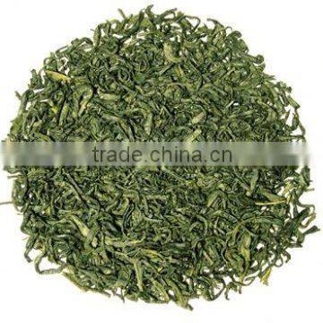 Green tea (camellia sinensis), 70% polyphenol extract