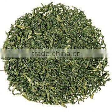 Green Tea (camellia Sinensis), 70% Polyphenol Extract
