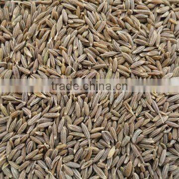 High Quality Cumin Seed photo-4