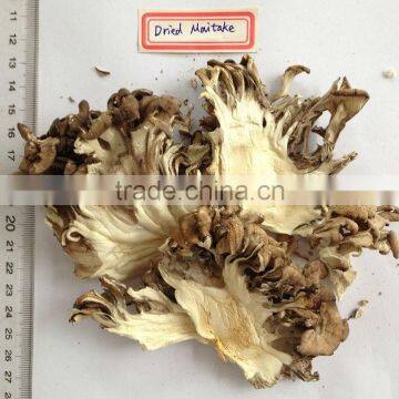 Best Selling Organic Dried Maitake Mushroom photo-5