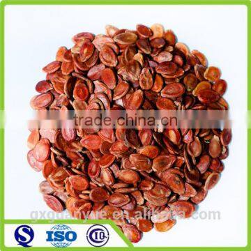 China supplier water melon seeds for sale