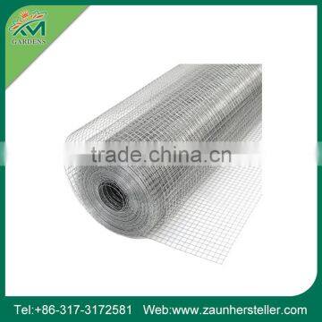 Get $1000 Coupon China Supplier Mesh Vegetable photo-6