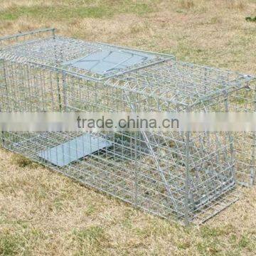 Animal cage traps