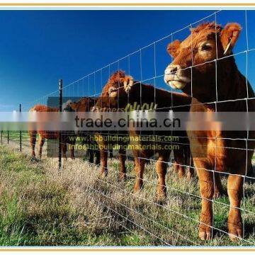 Automatic Welded Wire Mesh Knitting Machine photo-3