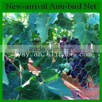 HDPE Virgin Material Anti Hail Net for Agricultural /bird Net