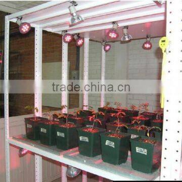 Online Led Lighting Shop Sell Lights Used to Grow Plants That Grow From Bulbs photo-5
