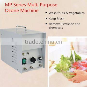 5 g/h ozone generator vegetable selecting machine for water purifier